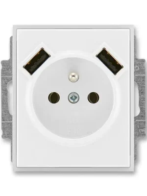 Nakupujte Hned 5569E-A22357 01 Zásuvka 1násobná s kolíkem, s clonkami, s nabíjením 2x USB